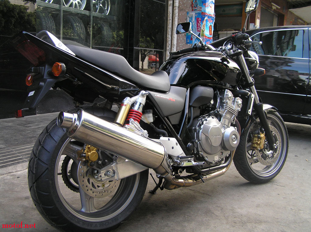 P1010017.jpg