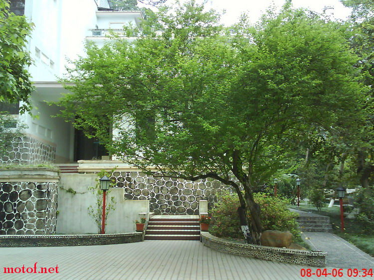 DSC00070.jpg