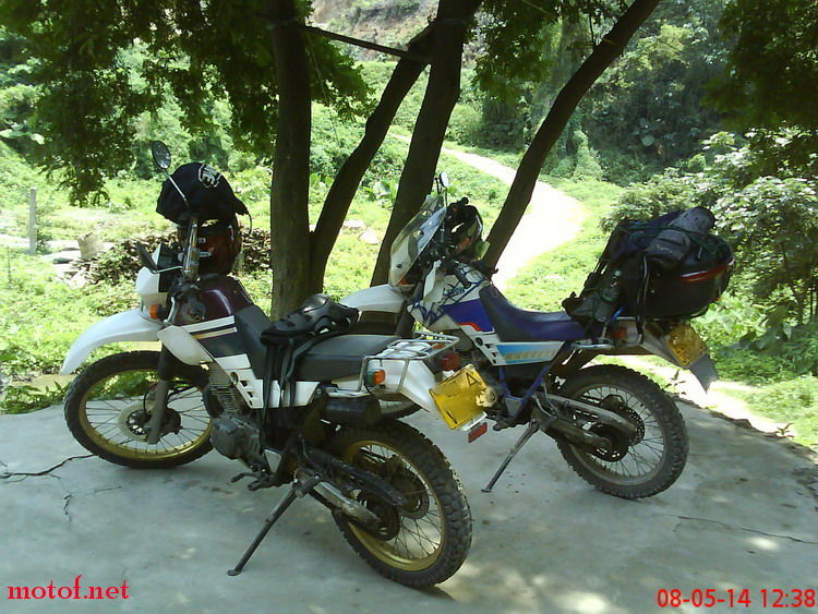DSC00146.jpg
