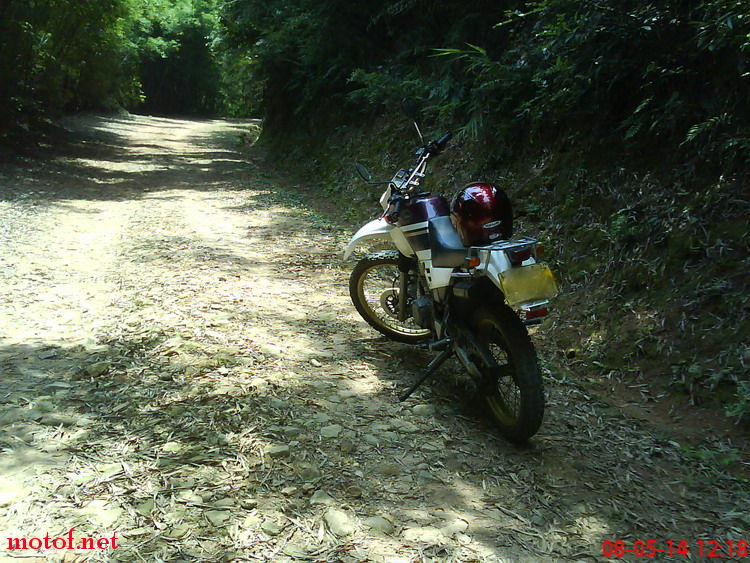 DSC00136.jpg