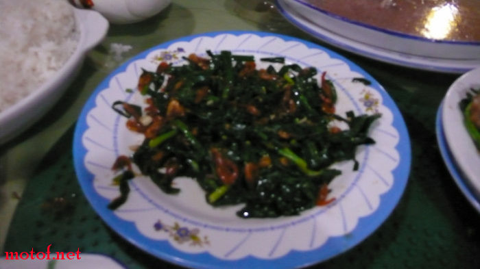 P1060547.jpg