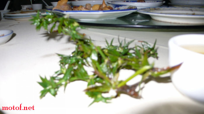 P1060552.jpg