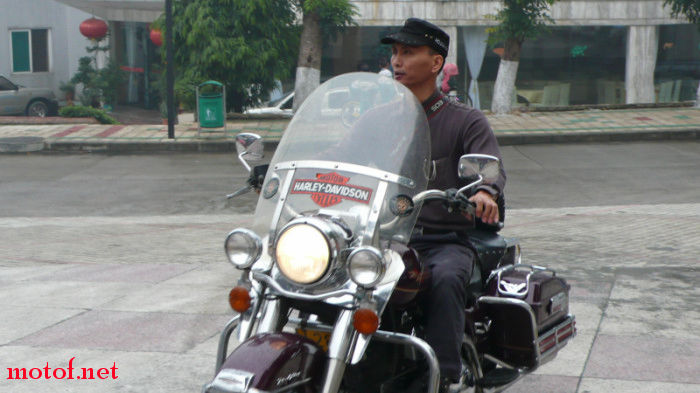 P1060630.jpg