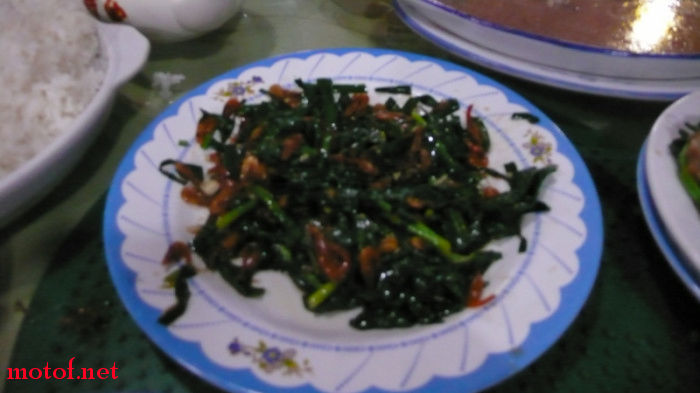 P1060546.jpg
