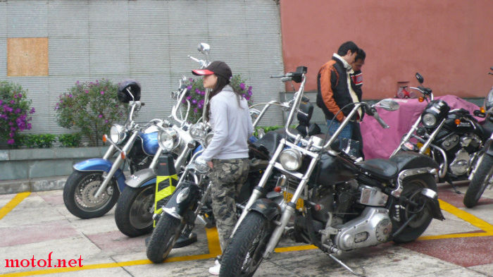 P1060693.jpg