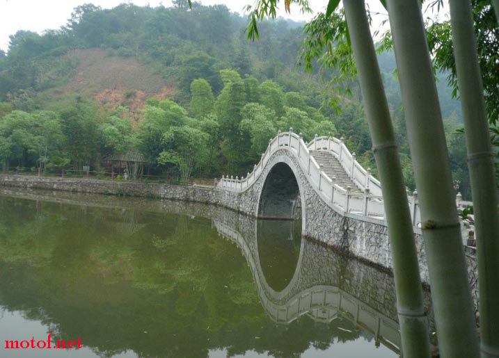 P1000319.JPG