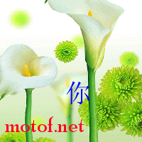 未命名.gif