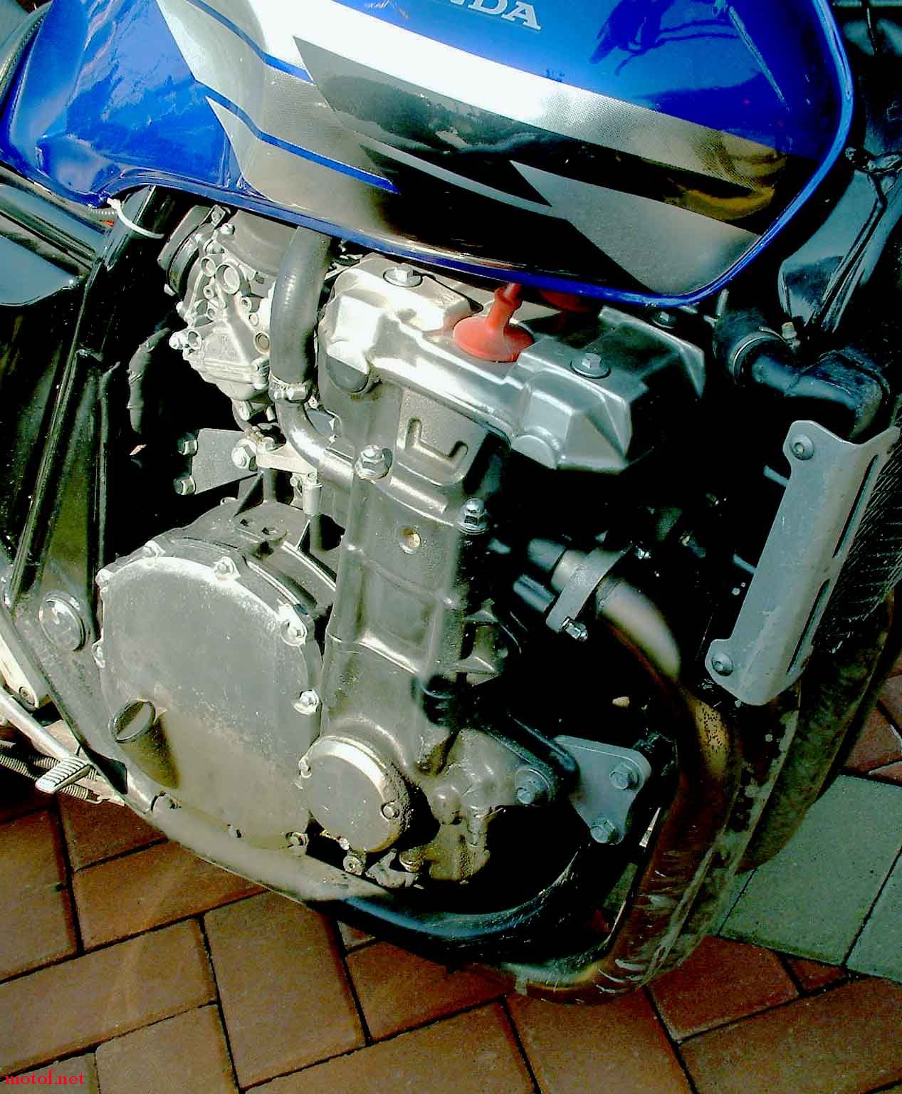 05.jpg