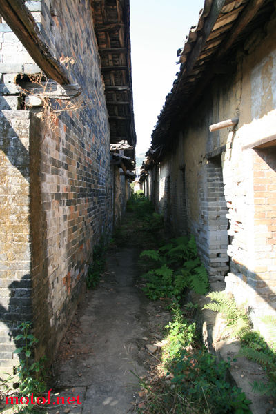 IMG_7005.JPG