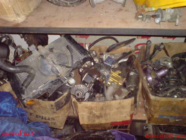 DSC01743.JPG
