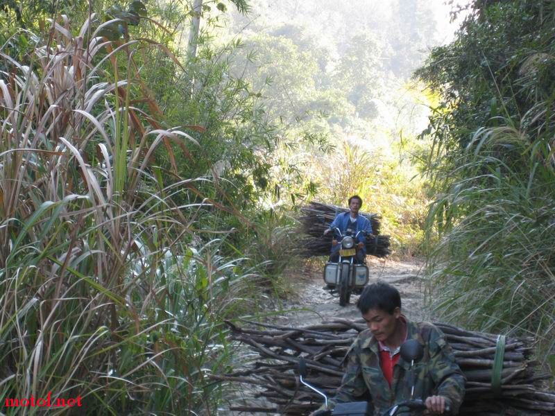 开摩托进山砍柴