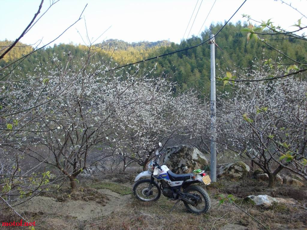 调整大小 DSC00971.JPG