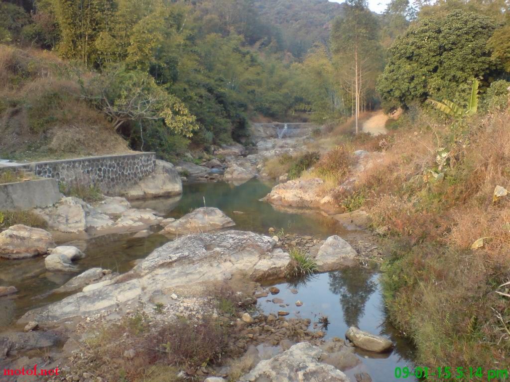 DSC00006.jpg