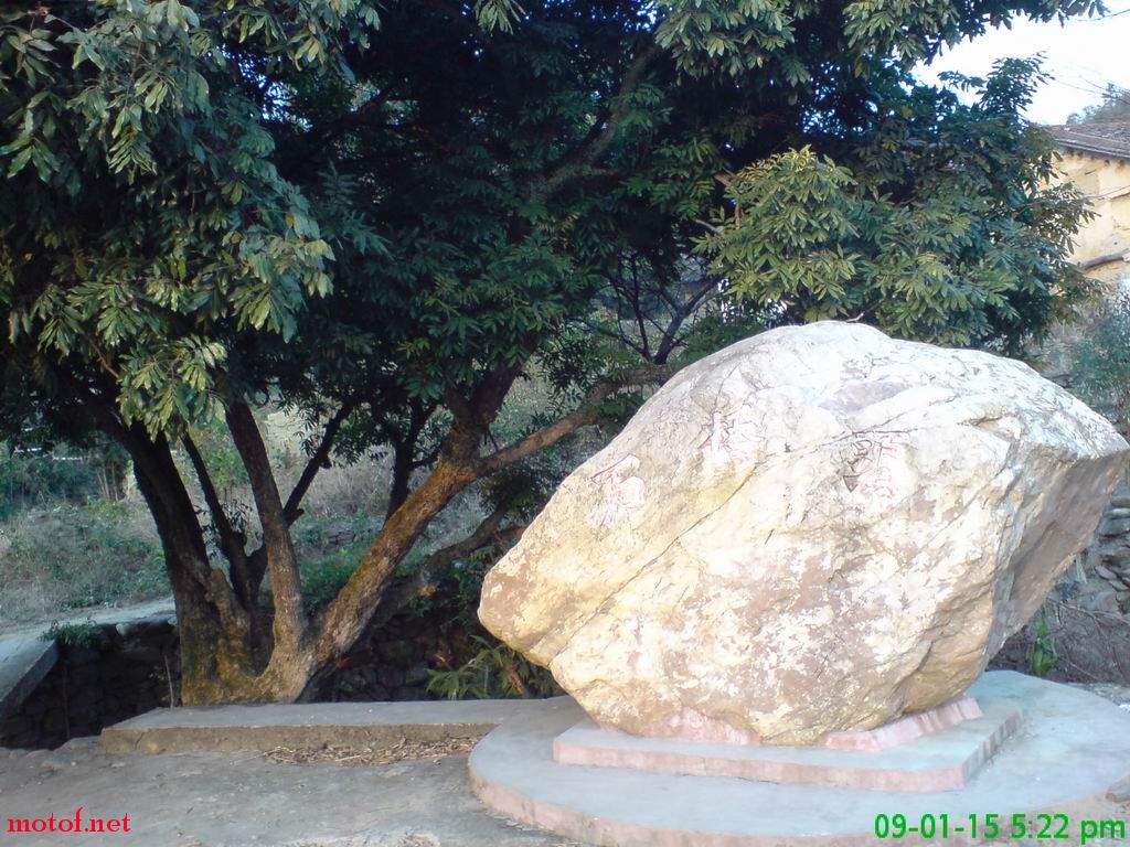 DSC00012.jpg