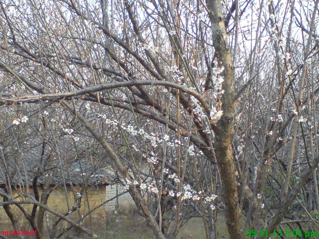 DSC00002.jpg