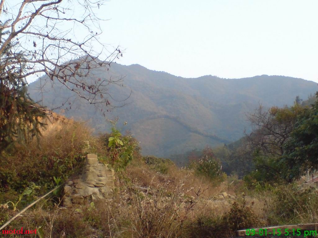 DSC00009.jpg