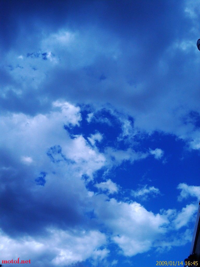 IMAG0036.jpg