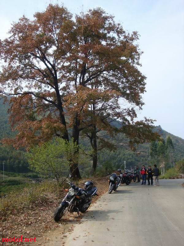 DSC01254.JPG