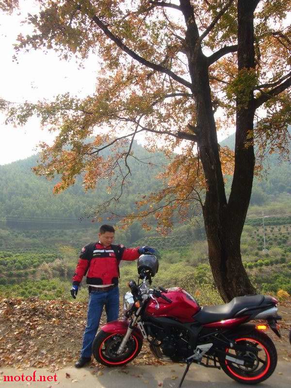 DSC01256.JPG