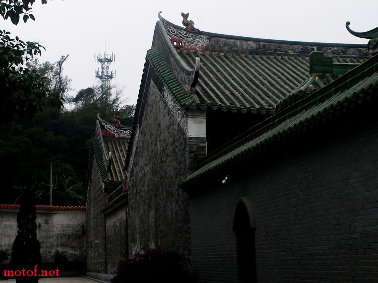 P1120173.jpg