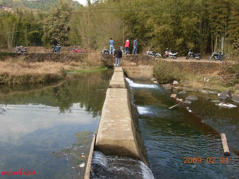 010.jpg