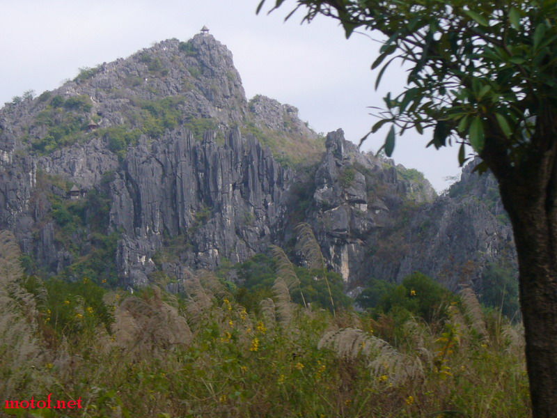 P1100376_缩小大小.JPG