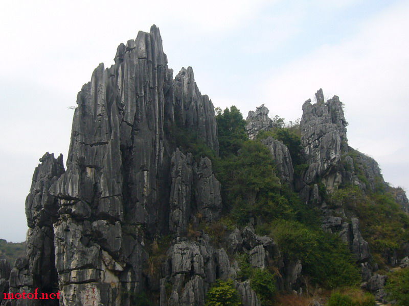 P1100393_缩小大小.JPG