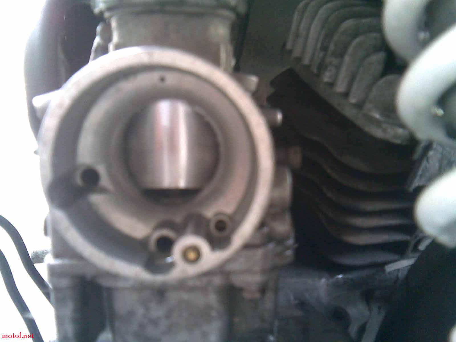20090204(010).jpg