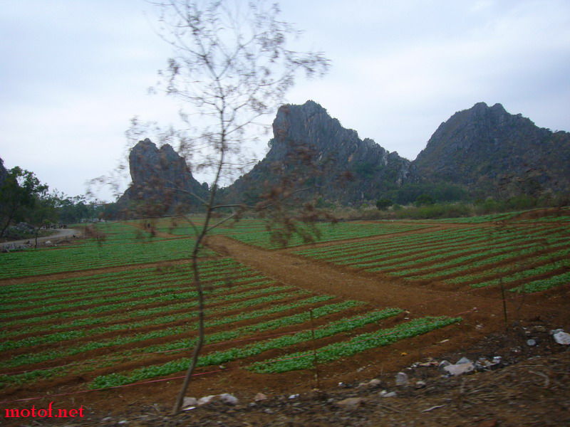 P1100403_缩小大小.JPG