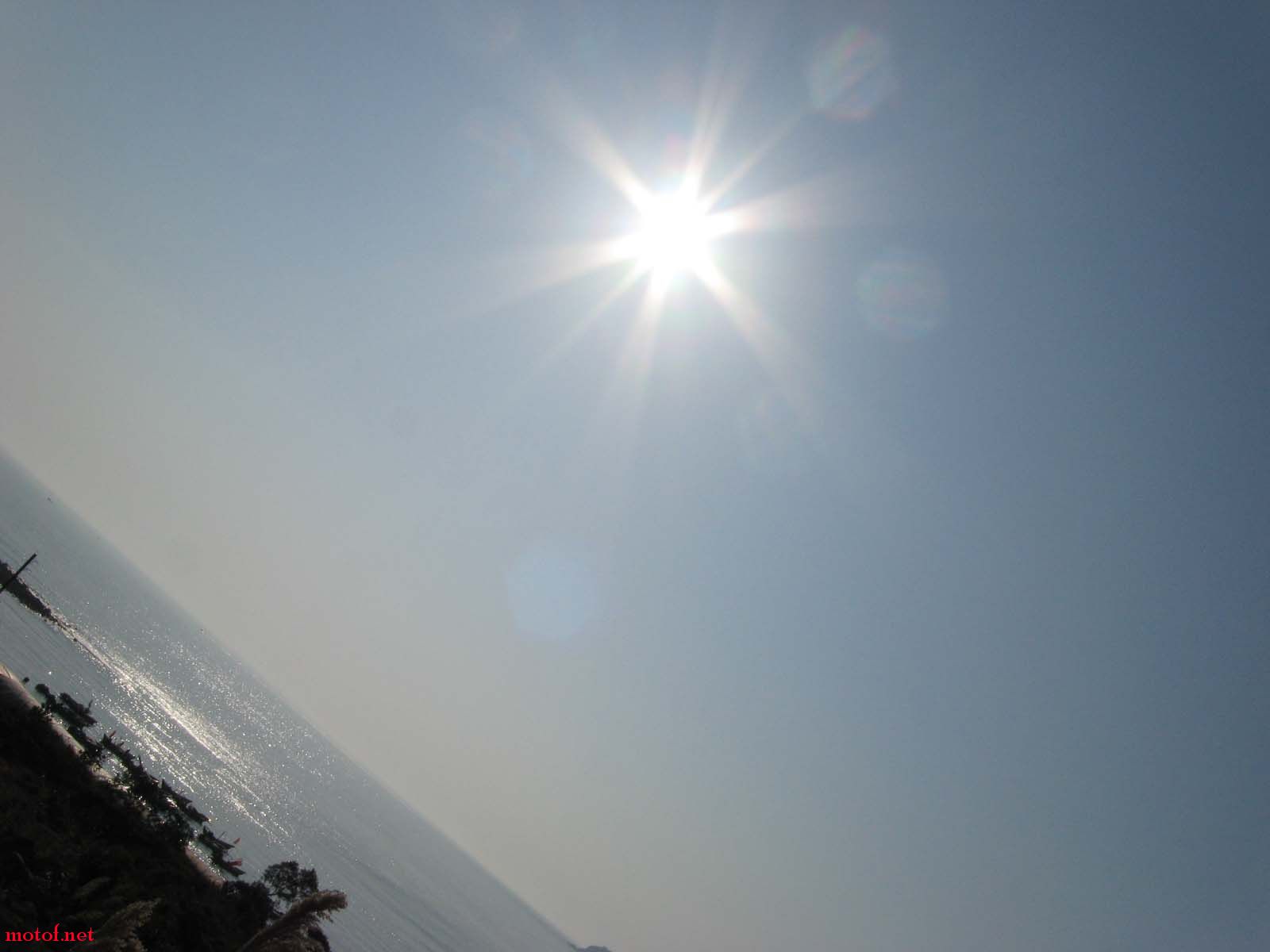 照片 049.jpg