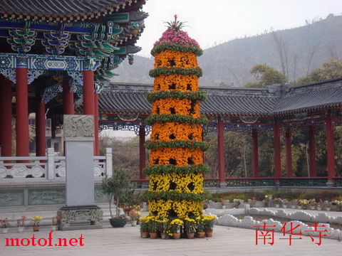 DSC00127_调整大小副本.jpg