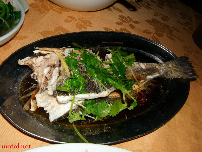 DSCF1442.JPG