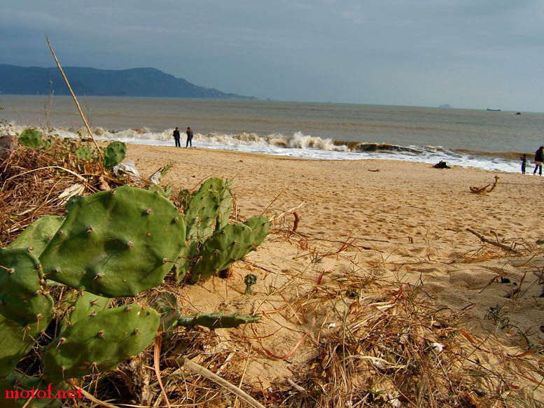 DSCF1339.JPG