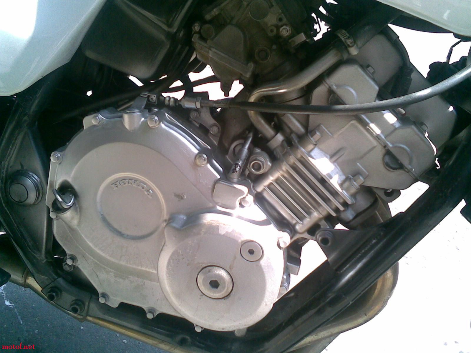 20090207(002).jpg