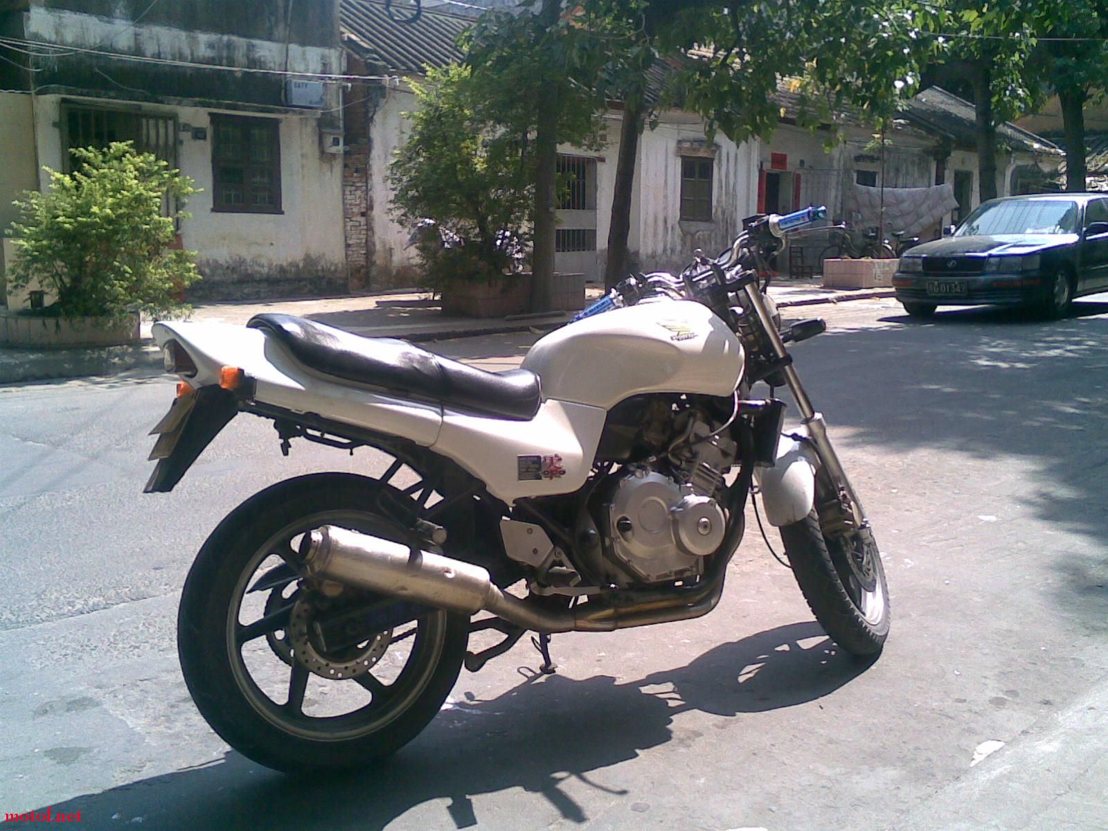 20090207.jpg