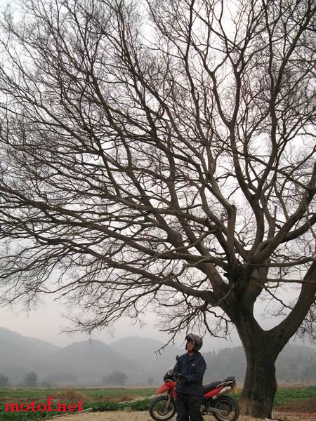 09.JPG