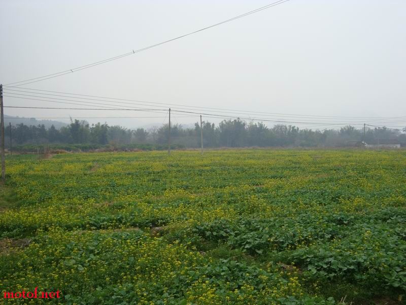DSC01797.JPG