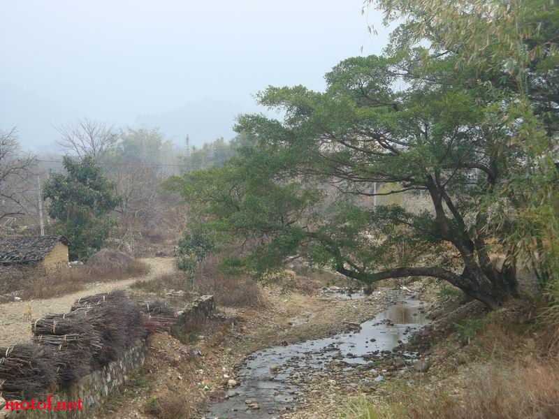 DSC01793.JPG