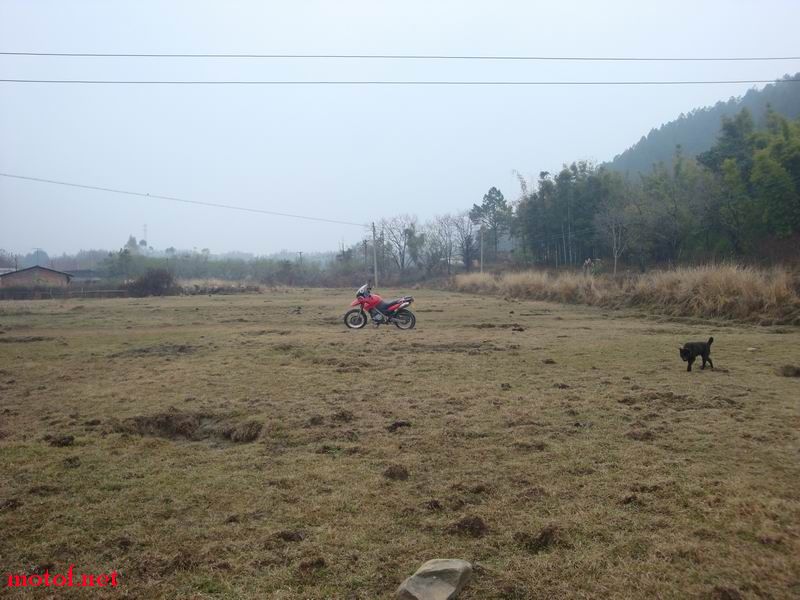 DSC01788.JPG