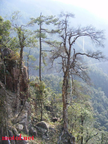 DSCF6568.jpg