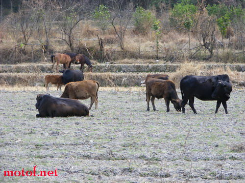 DSCF6562.jpg
