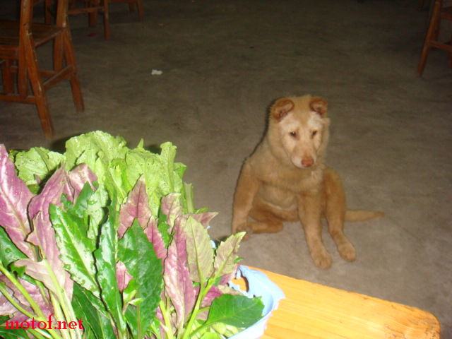DSC01961.JPG