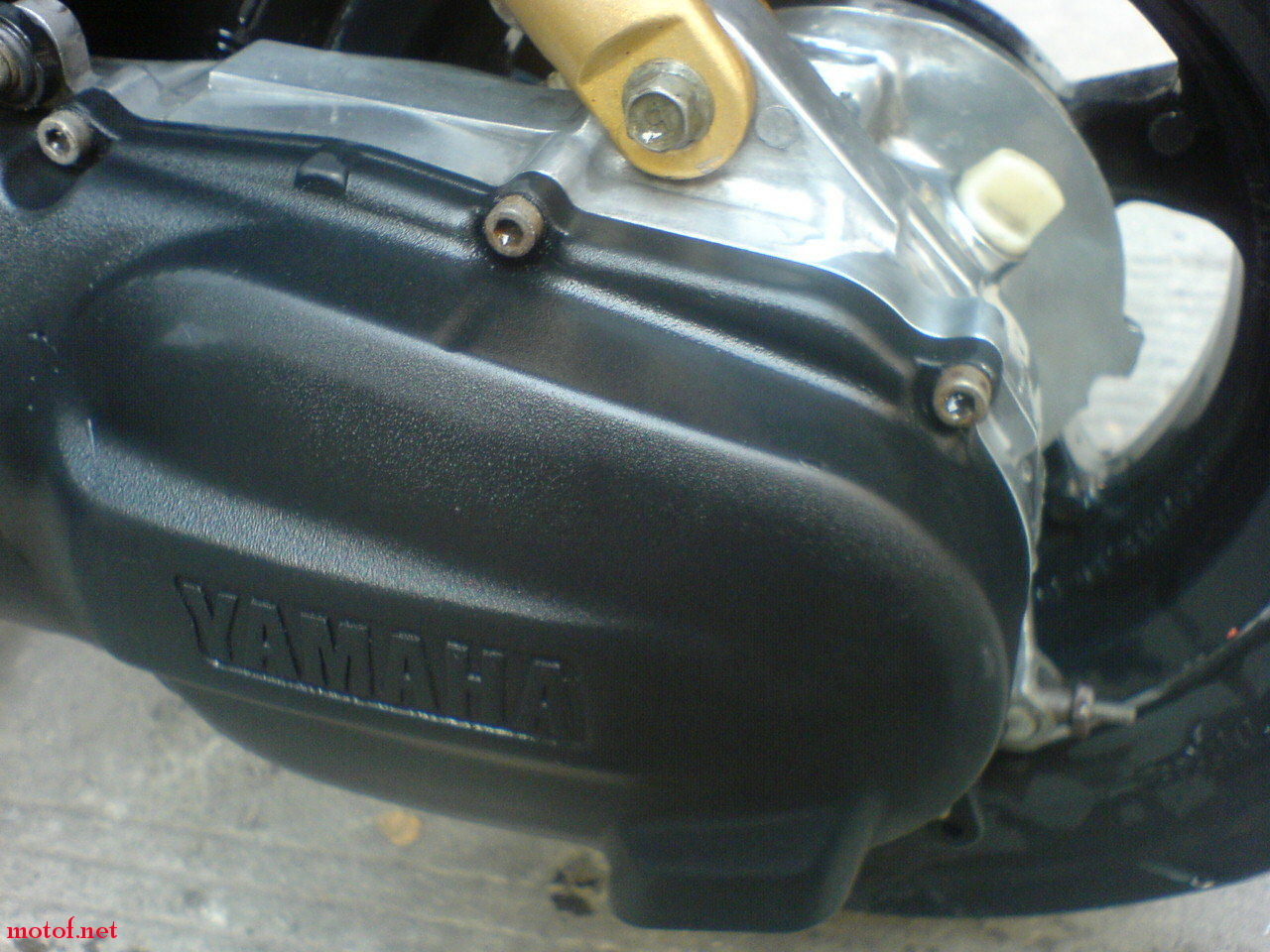 SN320070.JPG