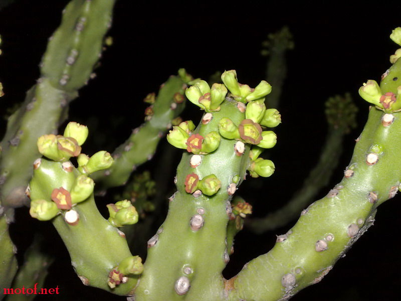 20090214014_缩小大小.jpg