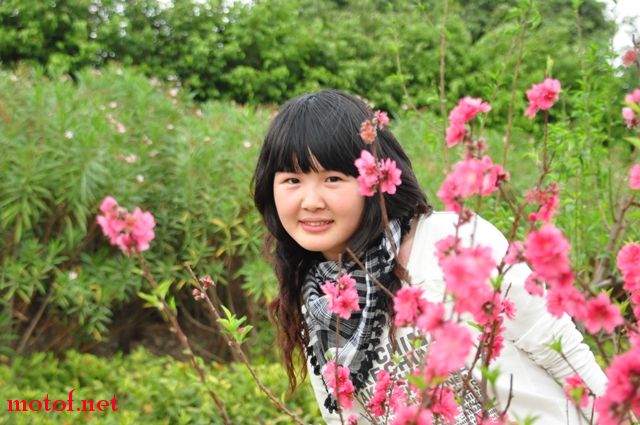 咩咩