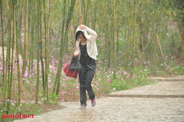 这个更惨