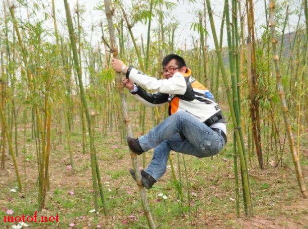 就是这么爬滴！