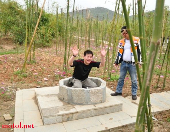 拉还是投降？