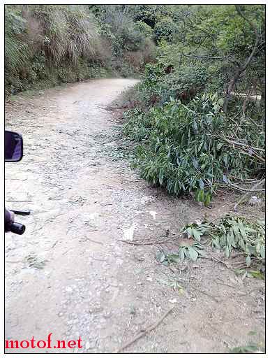 路啊路~不好走的路~