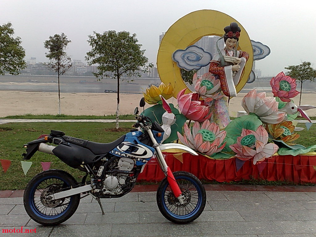 200902261700.jpg
